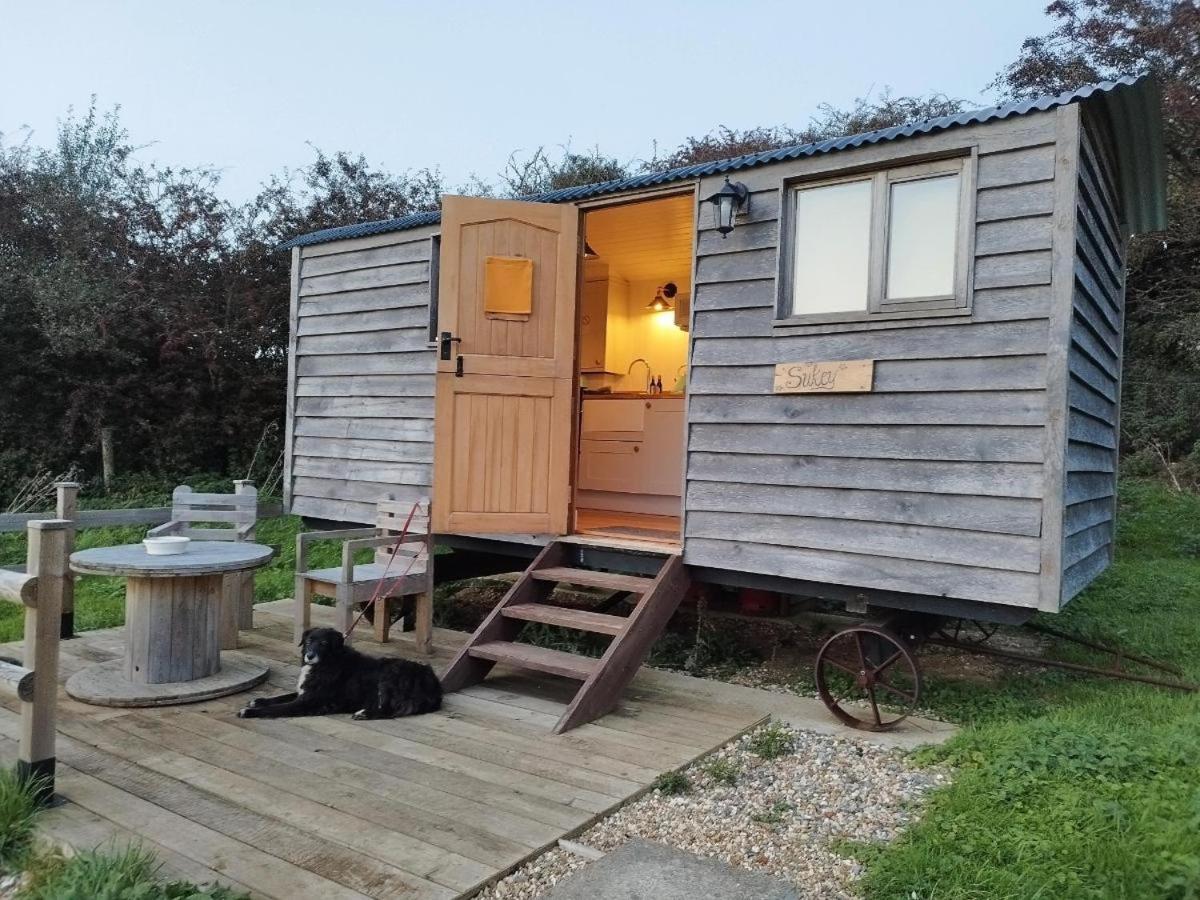 Under The Stars Shepherds Huts At Harbors Lake Villa Newchurch  ภายนอก รูปภาพ